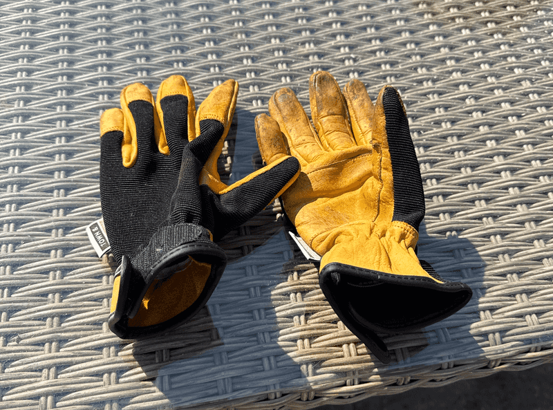 Leaving Gloves And Shoes Outside