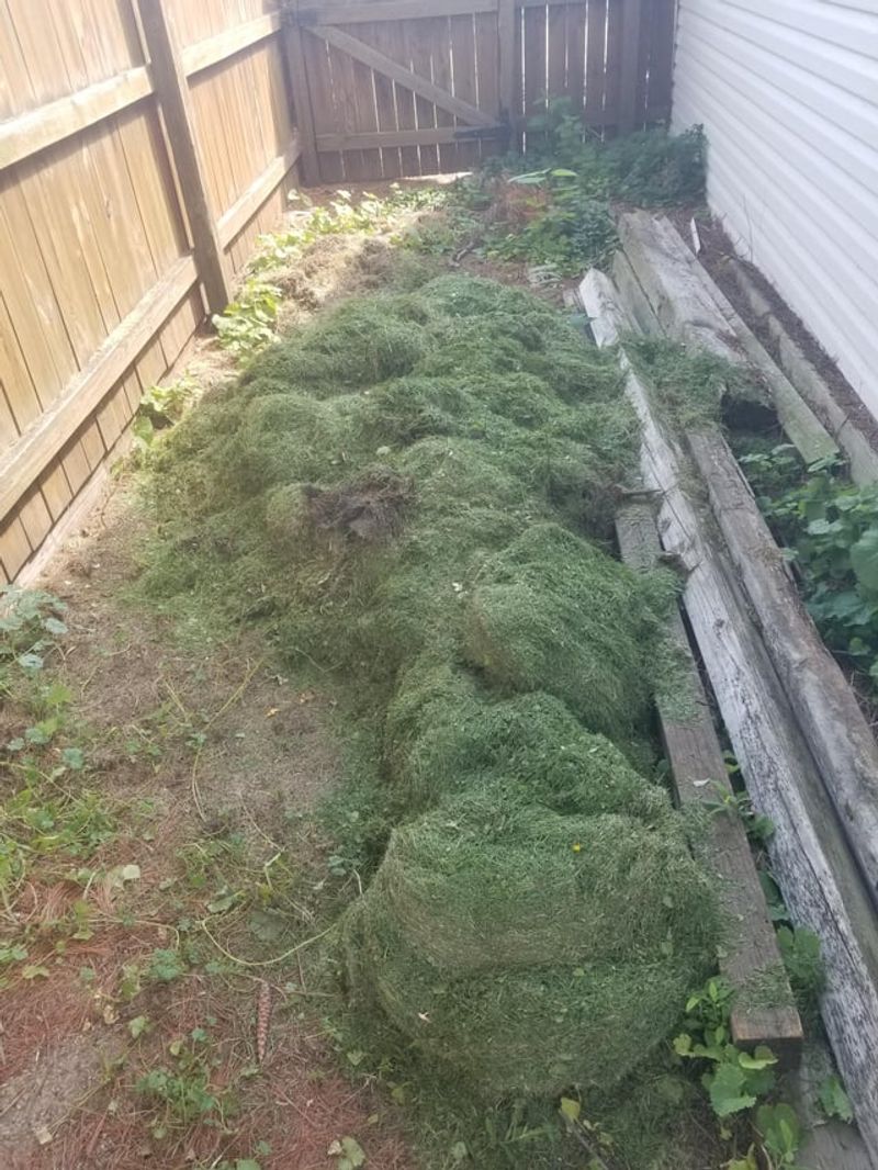 Leaving Grass Clippings In Damp Piles Can Invite Trouble Leaving Grass Clippings In Damp Piles Can Invite Trouble