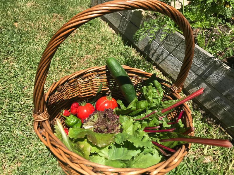 Leaving Harvest Baskets On The Porch