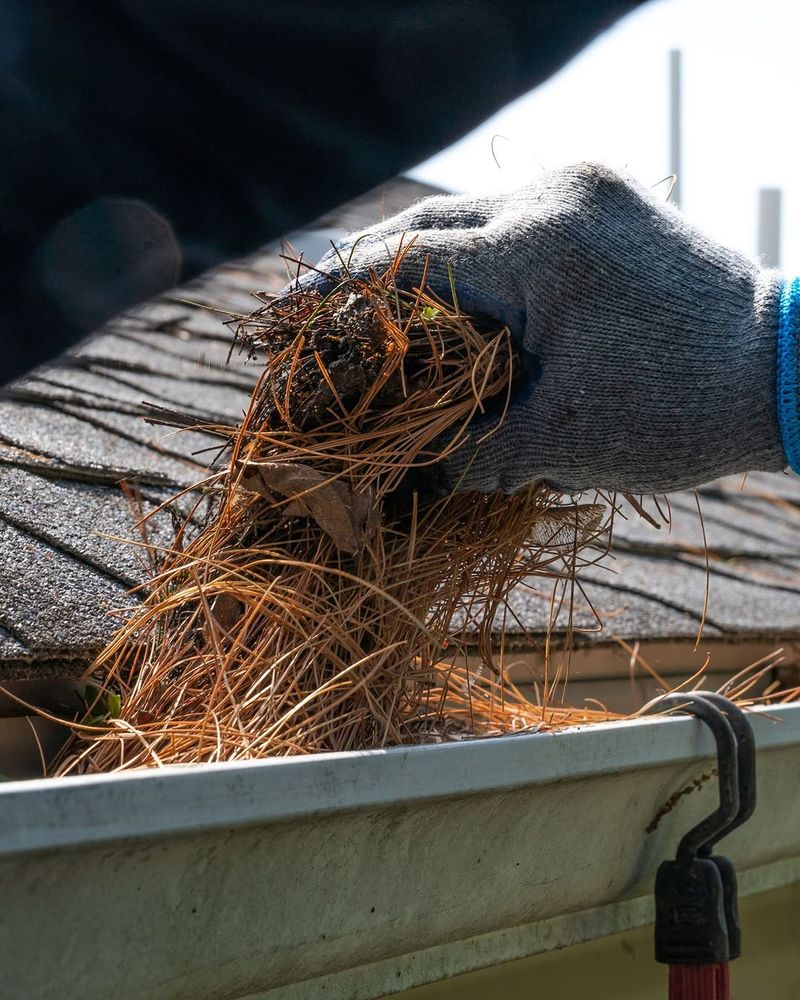 Leaving Leaves In Corners And Gutters