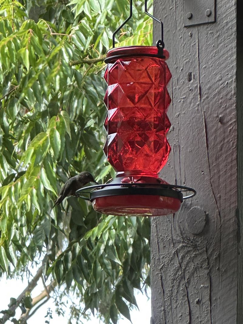 Less Messy Feeder Choices Can Help Lower The Problem