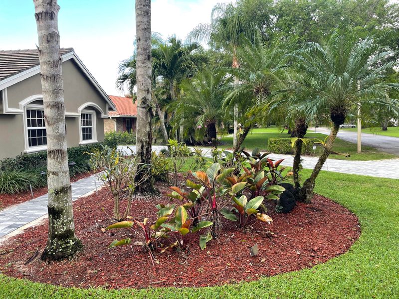 Let The Yard Use Less Water By Design Let The Yard Use Less Water By Design