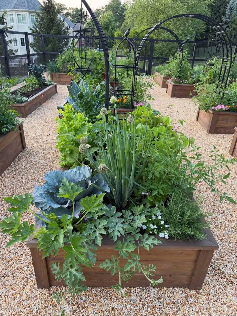 Letting Crowded Plants Trap Humidity Letting Crowded Plants Trap Humidity