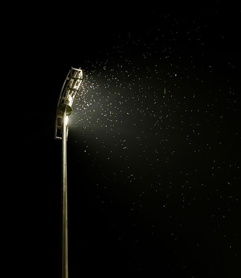 Light Pollution And Drought Can Still Play A Role Light Pollution And Drought Can Still Play A Role