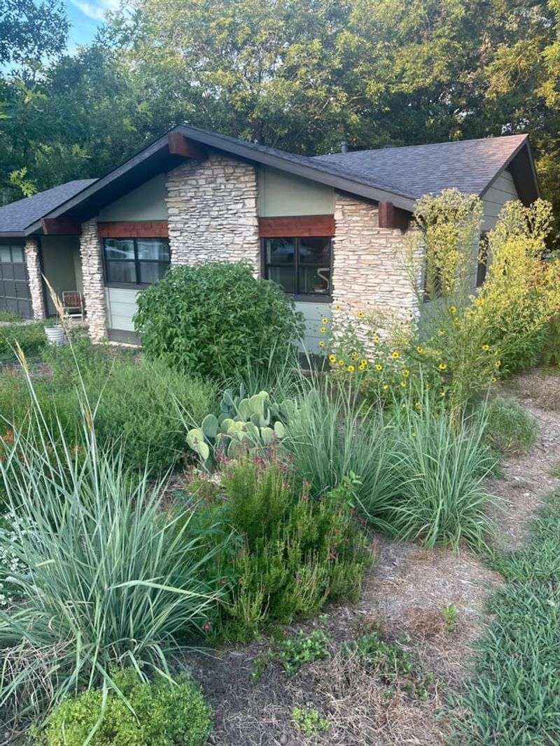 Little Bluestem Little Bluestem