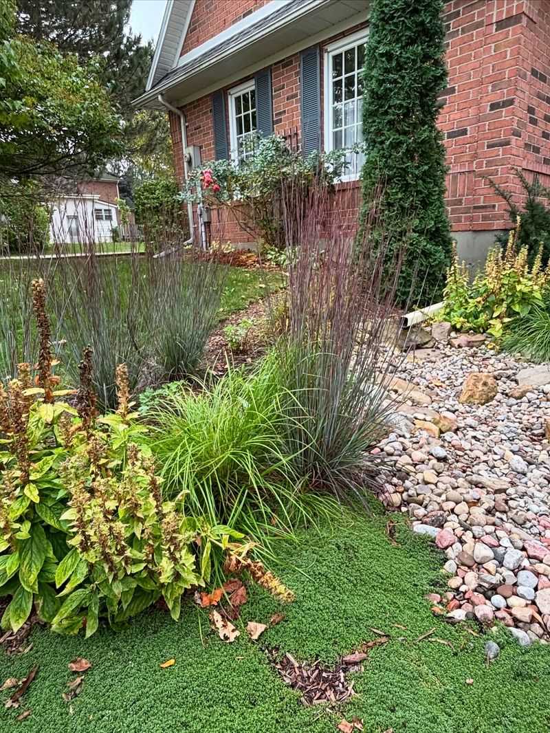 Living Foliage Helps Moderate Summer Soil Temperatures