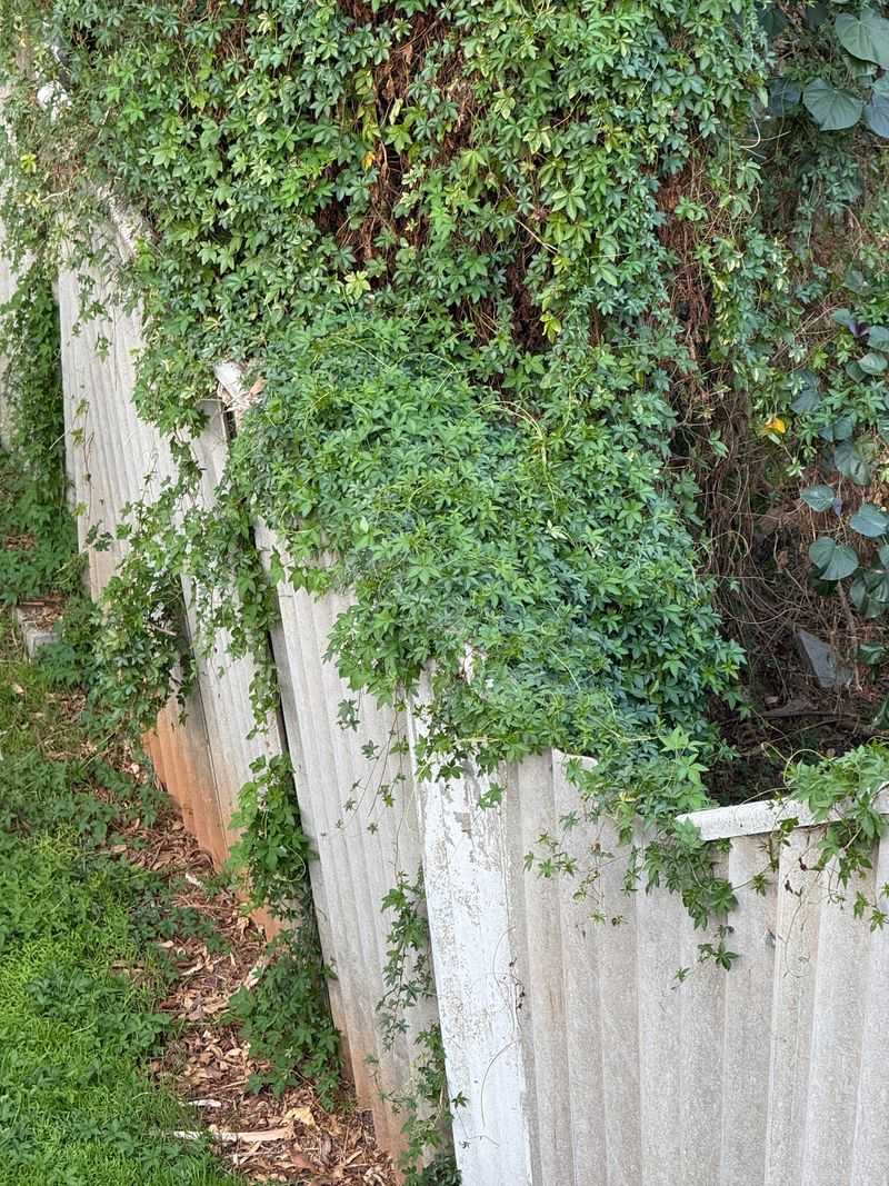 Local Nuisance Rules May Apply Local Nuisance Rules May Apply