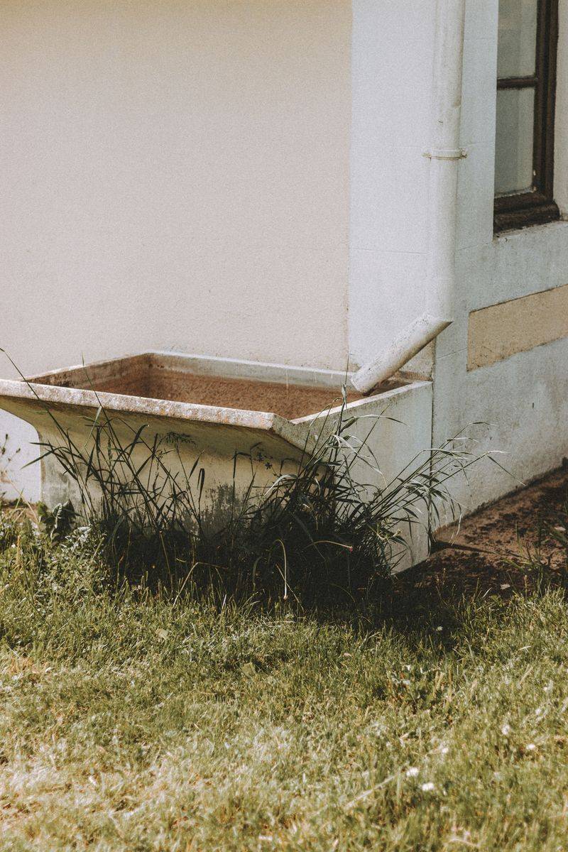 Local Ordinances Push Water-Wise Yards Local Ordinances Push Water-Wise Yards