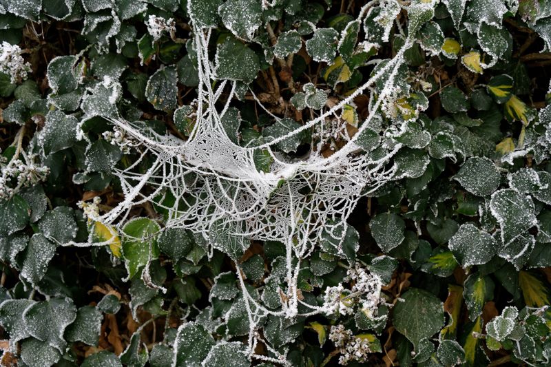 Longer Frost-Free Stretch Helps Spread Longer Frost-Free Stretch Helps Spread