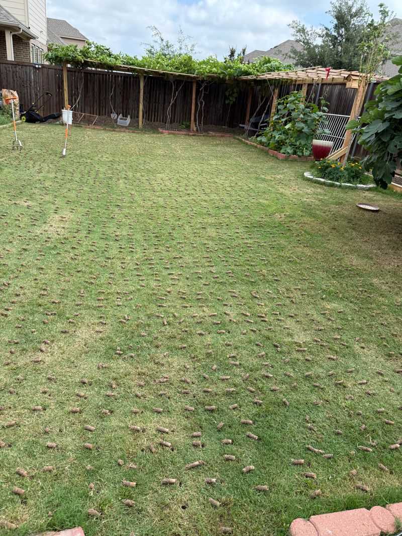 Loosen Compacted Soil Where Grass Keeps Failing Loosen Compacted Soil Where Grass Keeps Failing