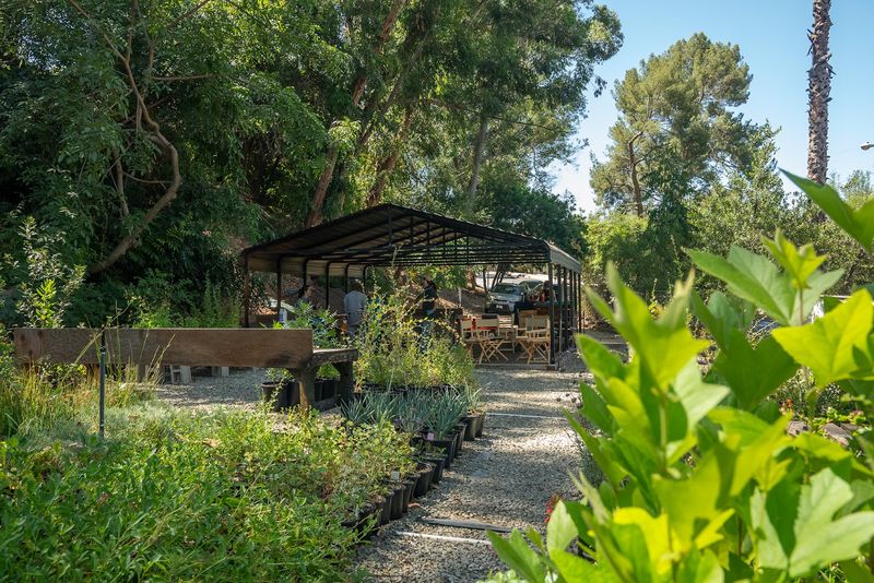 Los Nogales Nursery — Los Angeles