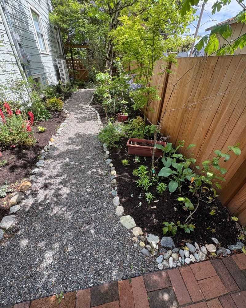 Low Foliage Softens Hard Gravel Lines