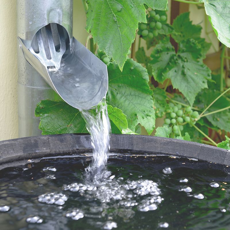 Low Spots Capture The Most Rainwater