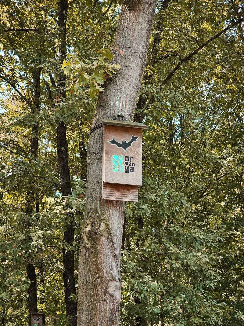 Lower-Impact Ways To Manage Mosquitoes Without Silencing Crickets Lower-Impact Ways To Manage Mosquitoes Without Silencing Crickets