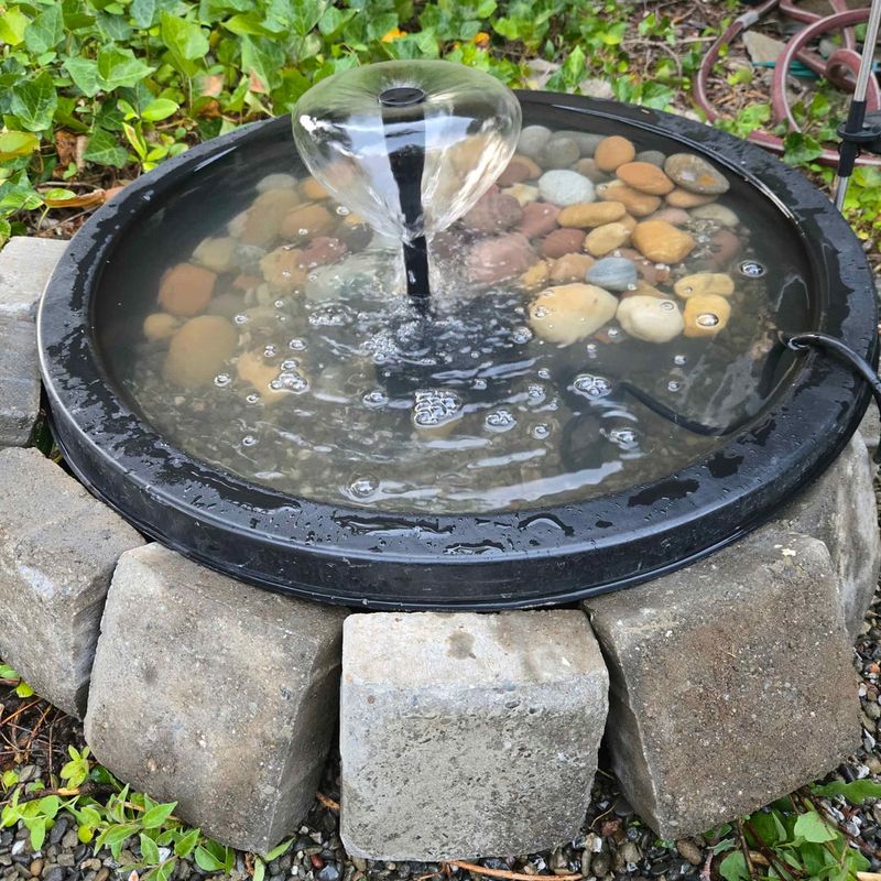 Lower Maintenance Compared To Full Ponds
