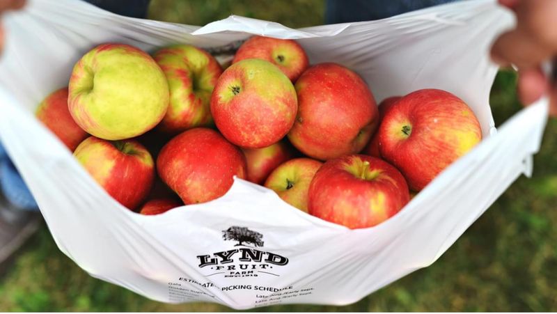 Lynd Fruit Farm Lynd Fruit Farm