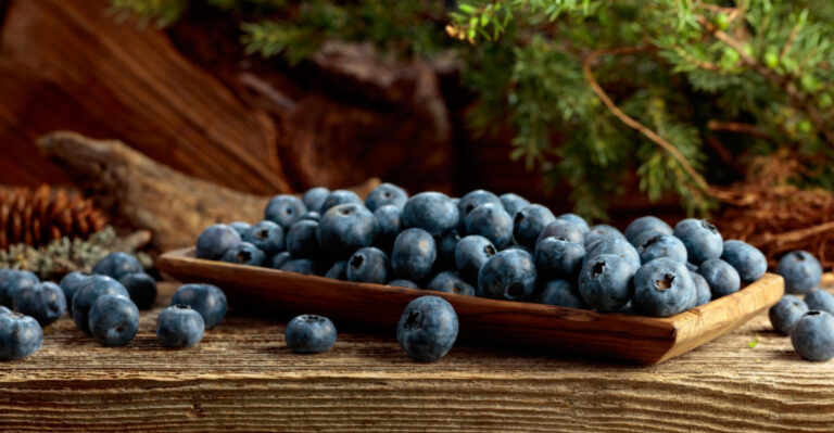Maine’s Blueberry Fields Had A Season Growers Won’t Forget, And Here’s What Went Right