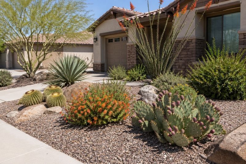 Maintain A Clean And Well-Cared-For Front Yard