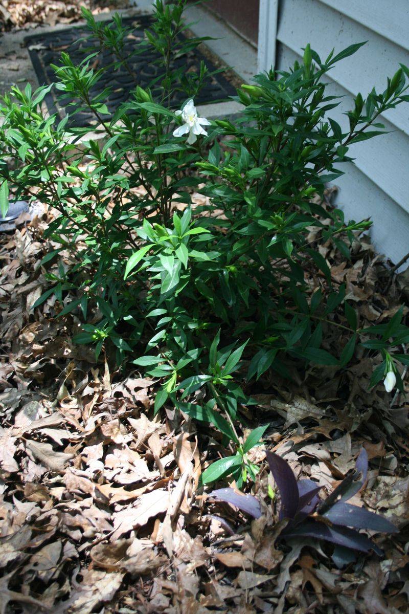 Make A Moisture Check Your Late-Summer Priority