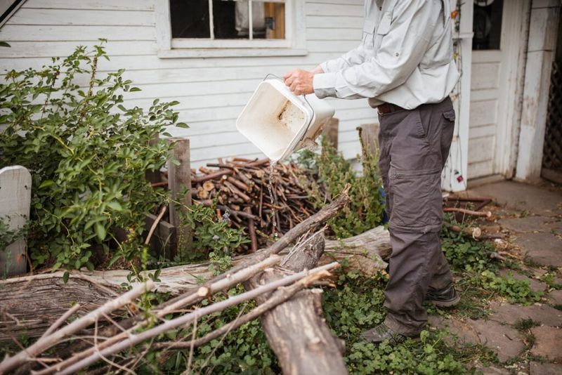 Make Standing-Water Control a Core Mosquito Step Make Standing-Water Control a Core Mosquito Step