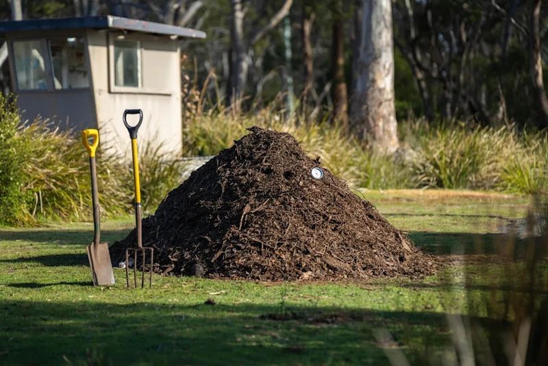 Make Sure The Pile Is Large Enough To Stay Active Make Sure The Pile Is Large Enough To Stay Active