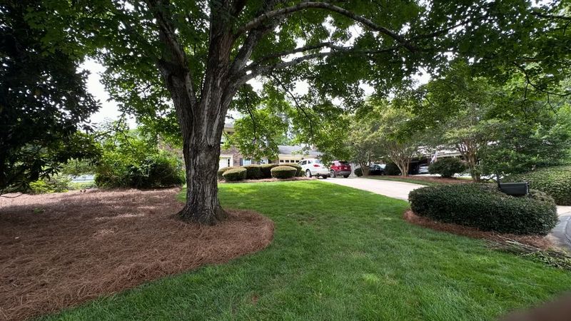Manage Shade From Overhanging Branches Manage Shade From Overhanging Branches