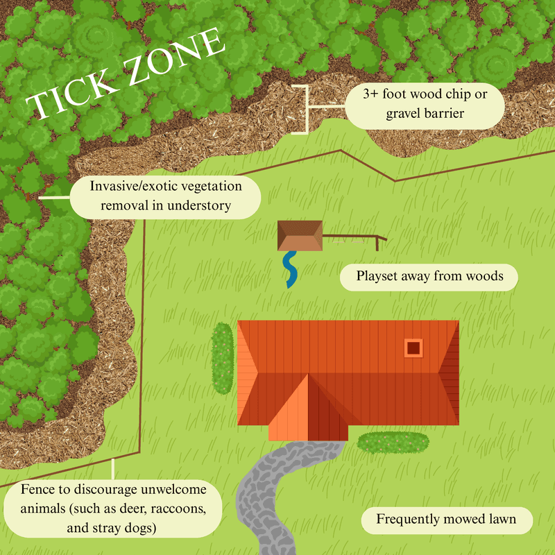 Manage Tick Exposure At Ground Level Manage Tick Exposure At Ground Level