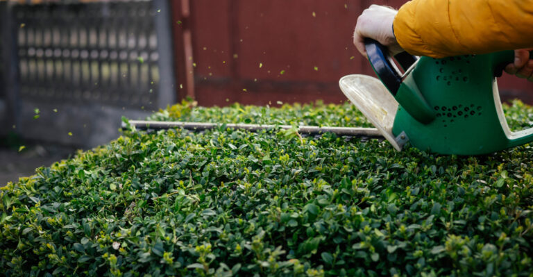 Maryland Shrub Trimming During Periods Of Hot Weather