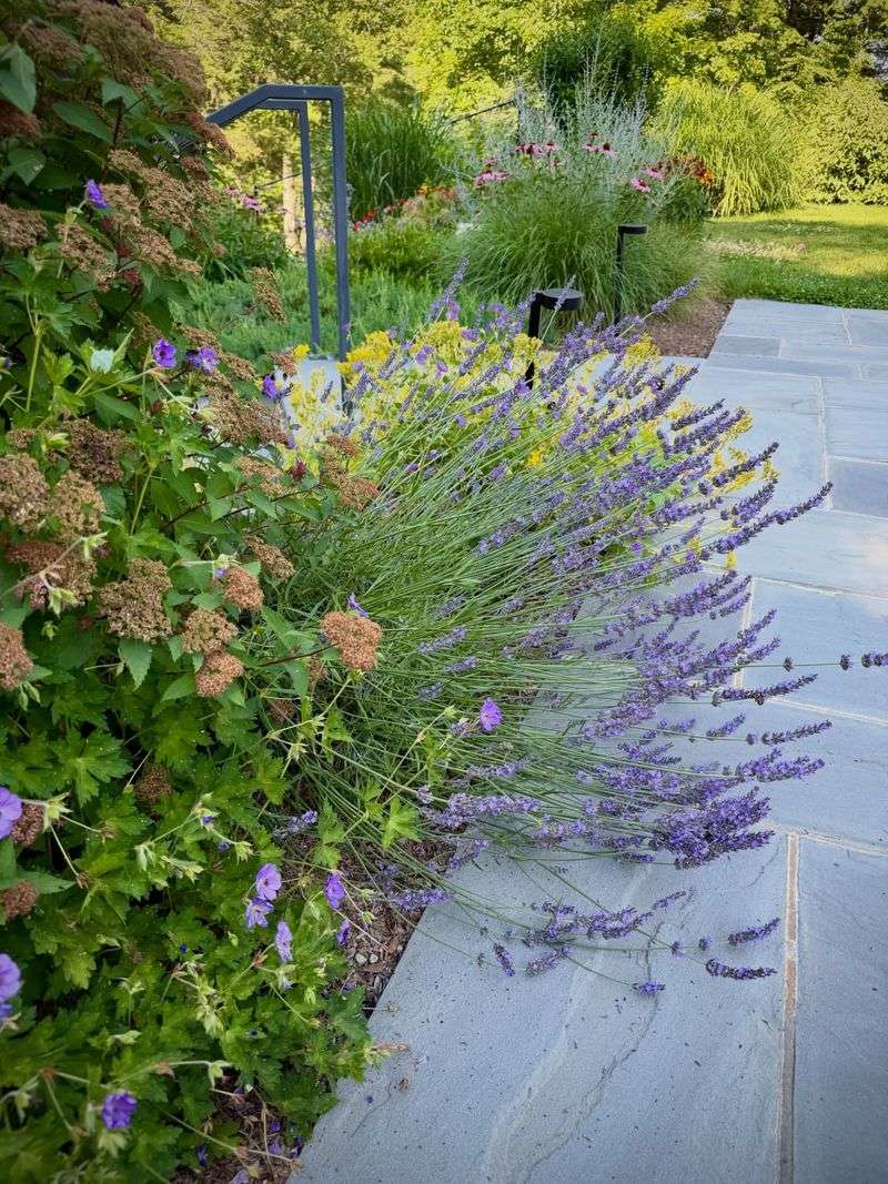 Mass Less Preferred Plants Instead Of Scattering Them