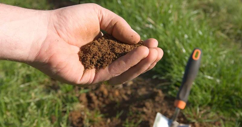 Match Phosphorus And Potassium To Soil Test Results Match Phosphorus And Potassium To Soil Test Results