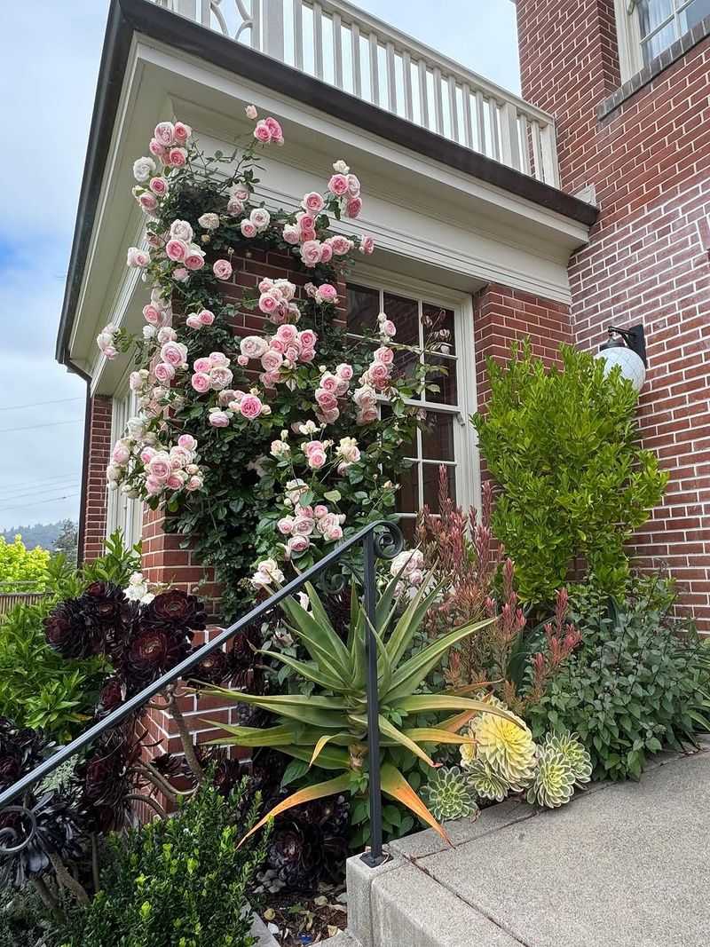 Match The Planting To Each Side Of The House