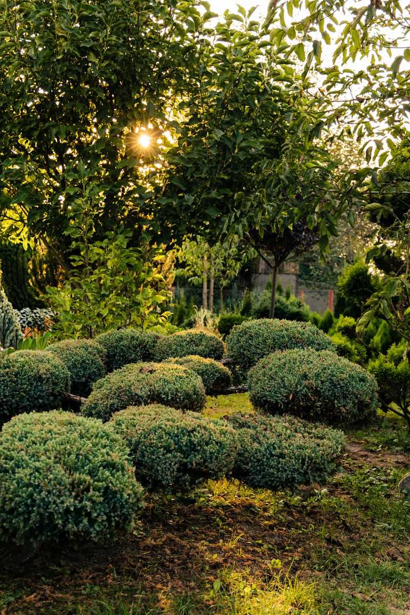 Mature Trees And Layered Landscaping Seal The Deal