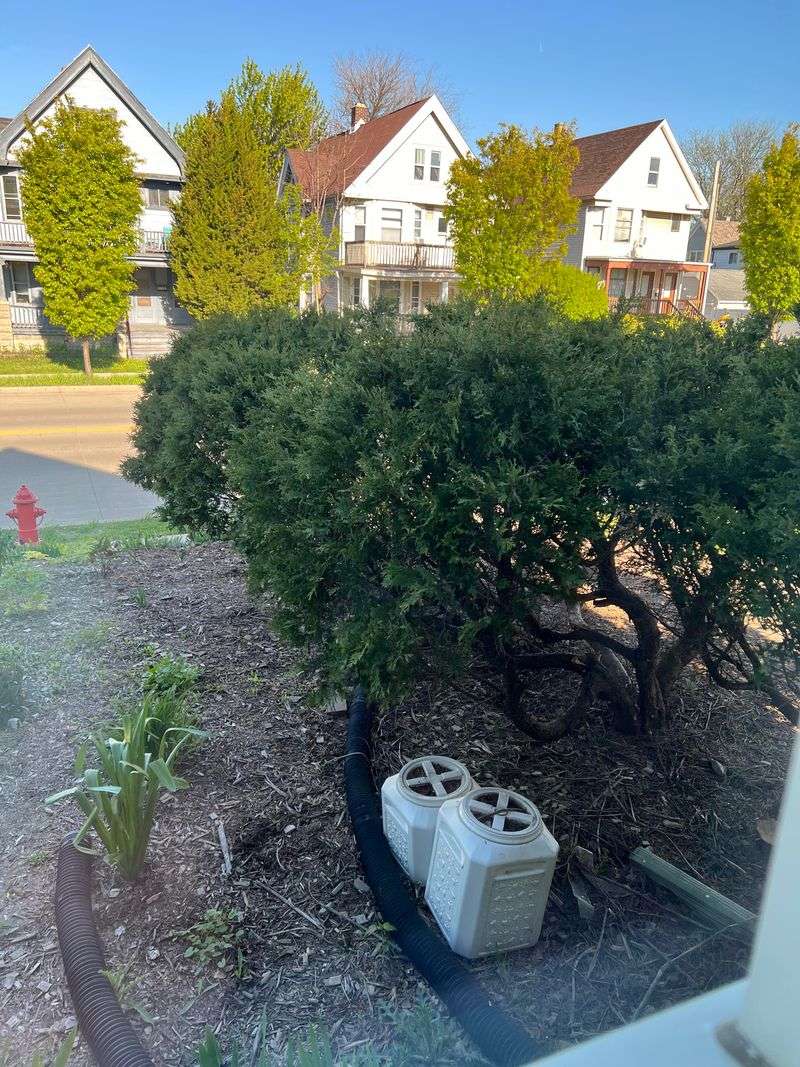 Mediation Can Solve Many Shrub Disputes Mediation Can Solve Many Shrub Disputes