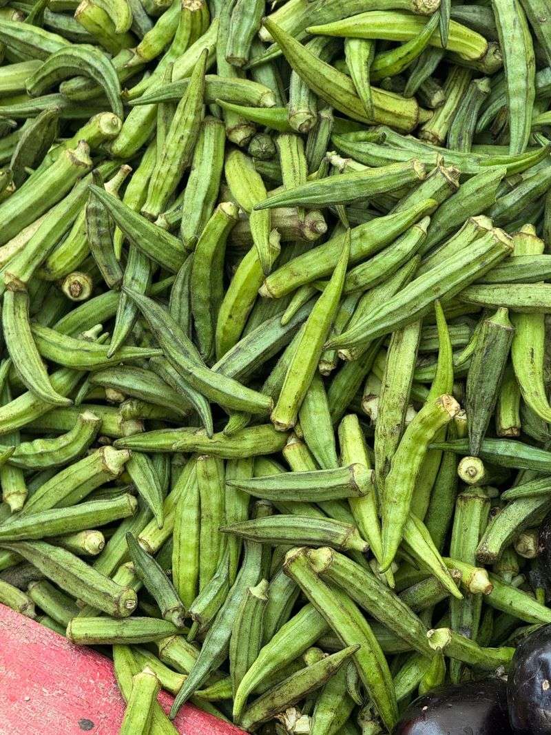 Meet The Vegetable That Won't Quit