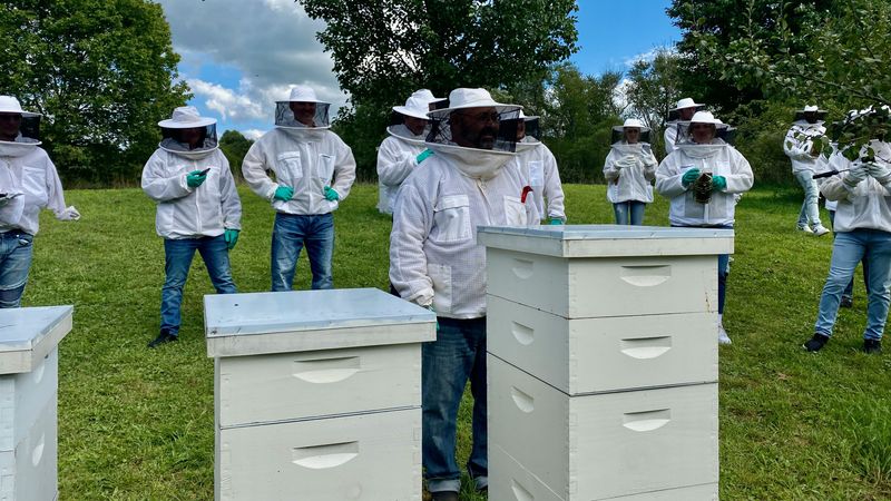 Mentorship Helped New Beekeepers Avoid Mistakes