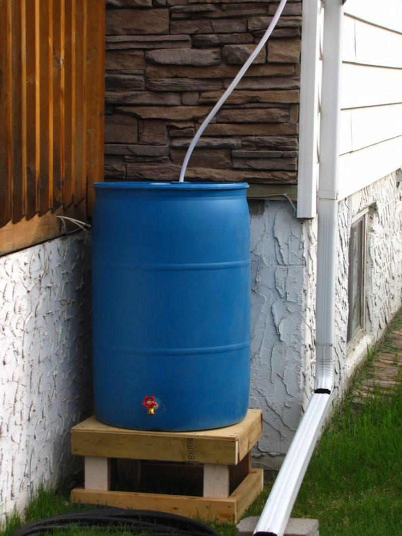 Missing The Chance To Capture Rainwater