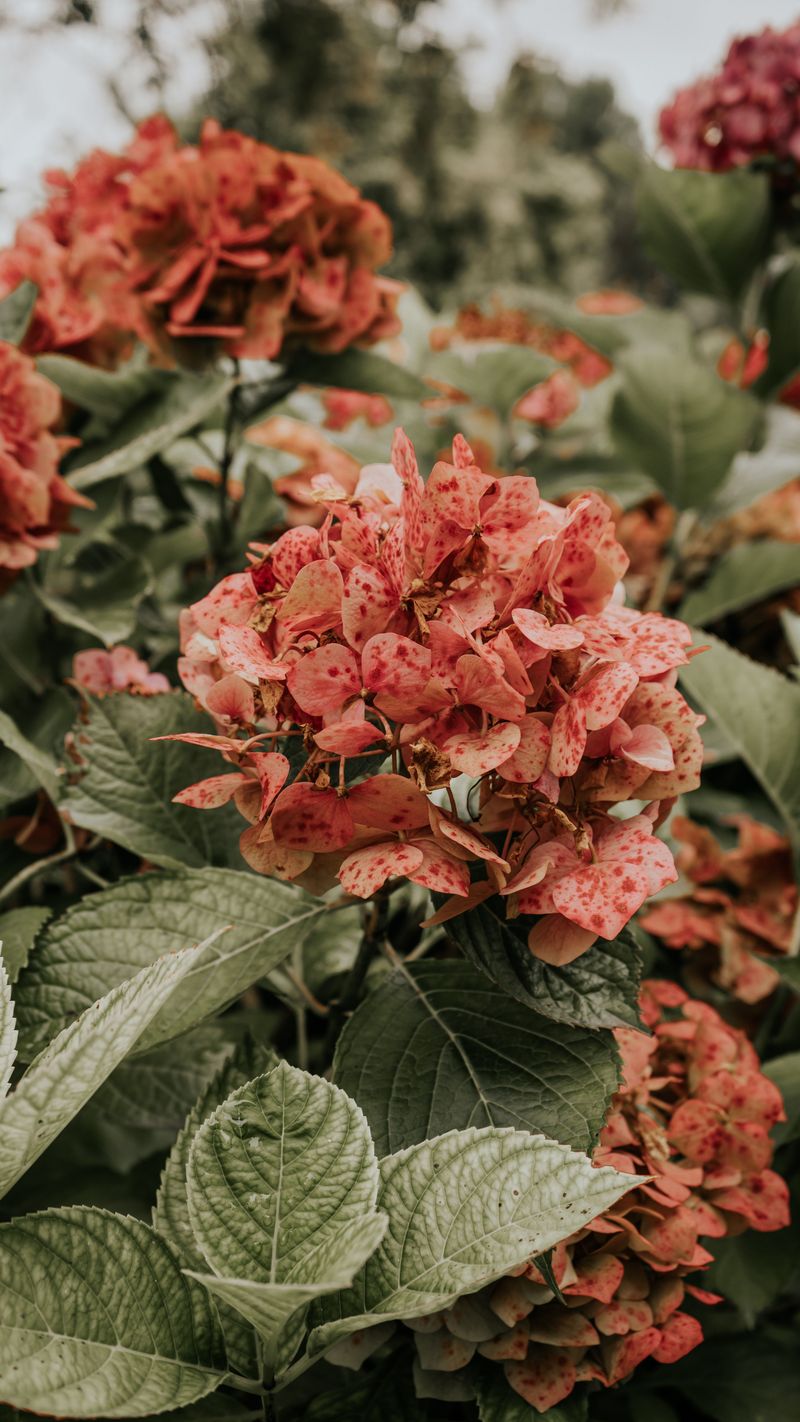 Mistakes That Make Heat Stress Worse