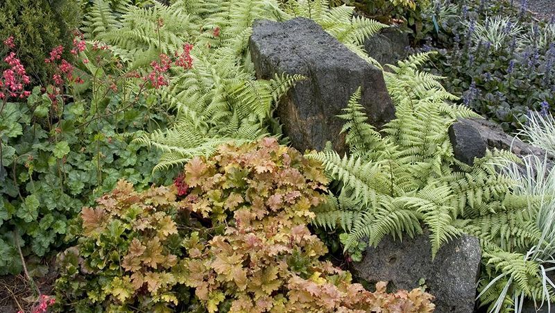 Mix Evergreen Texture With Seasonal Flowers
