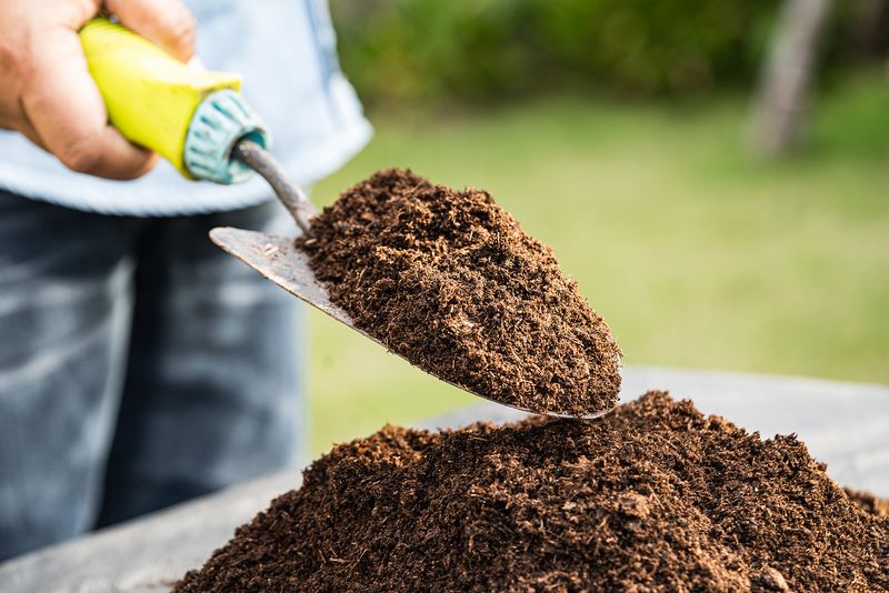 Moist Potting Mix Protects Roots