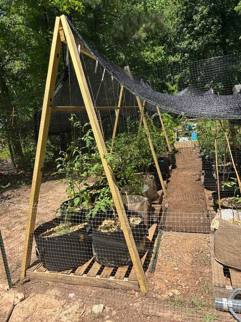 Moist Soil Holds The Start