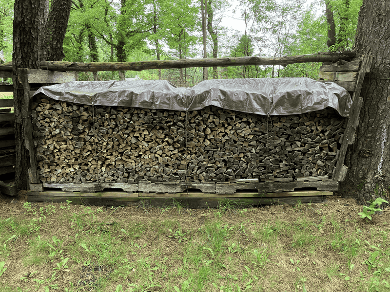 Moisture Under The Pile Keeps Roaches Comfortable Moisture Under The Pile Keeps Roaches Comfortable