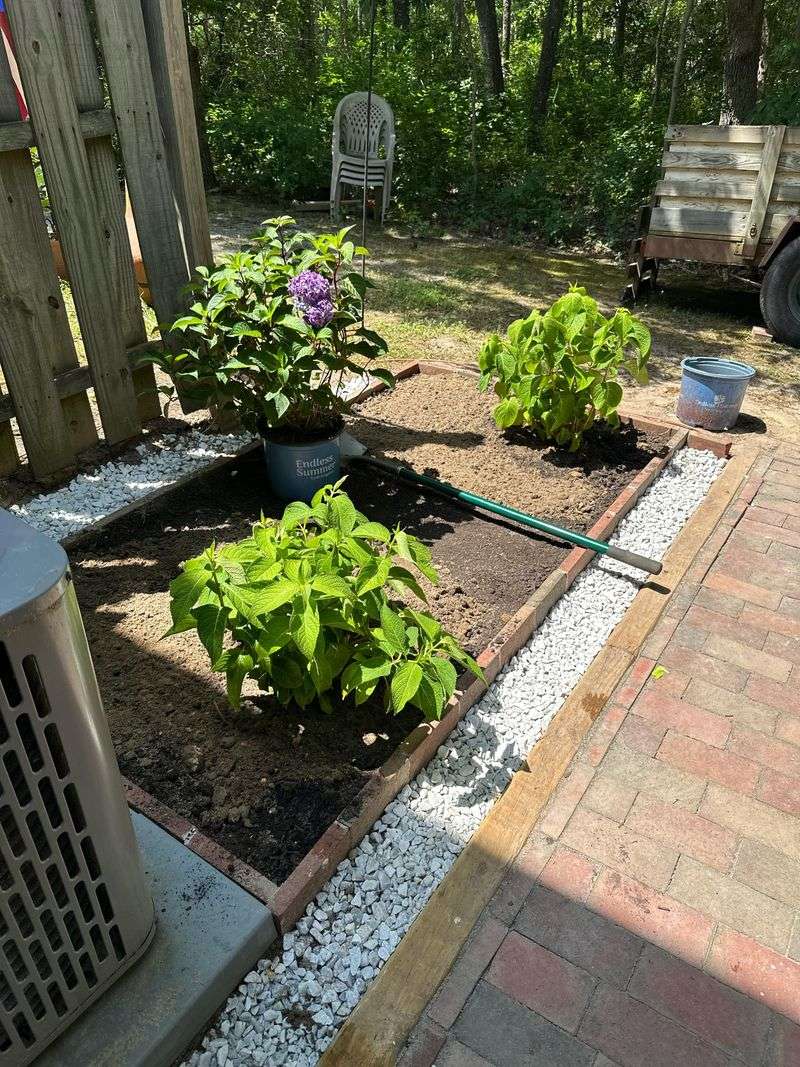 Morning Watering Gives Roots A Chance