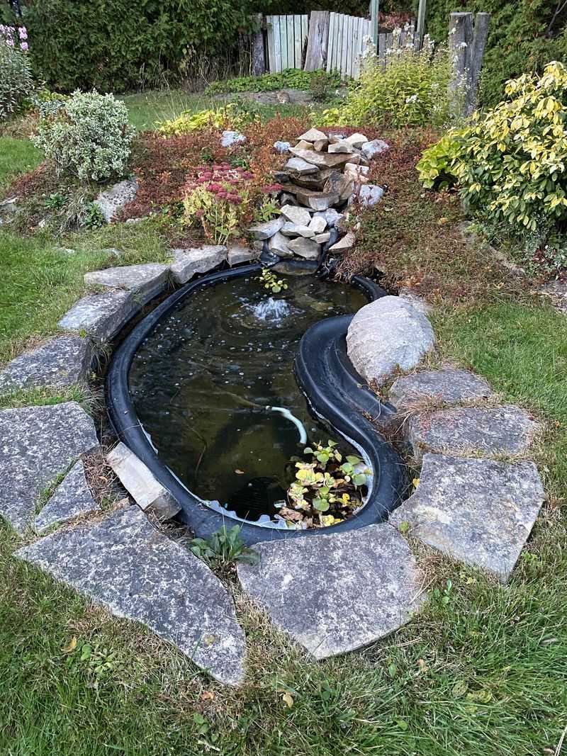 Mosquito Control Still Starts With Moving Water