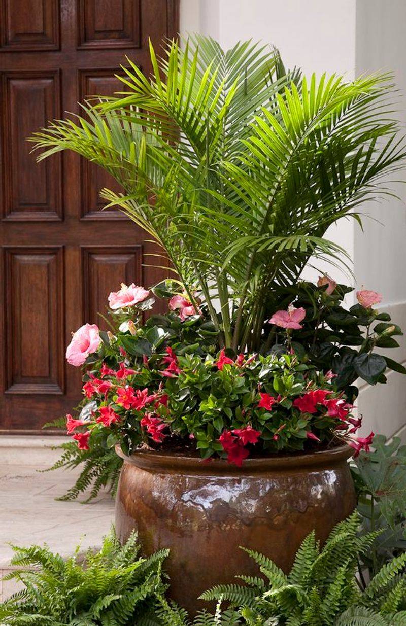 Move Container Plants Away From Hot Surfaces
