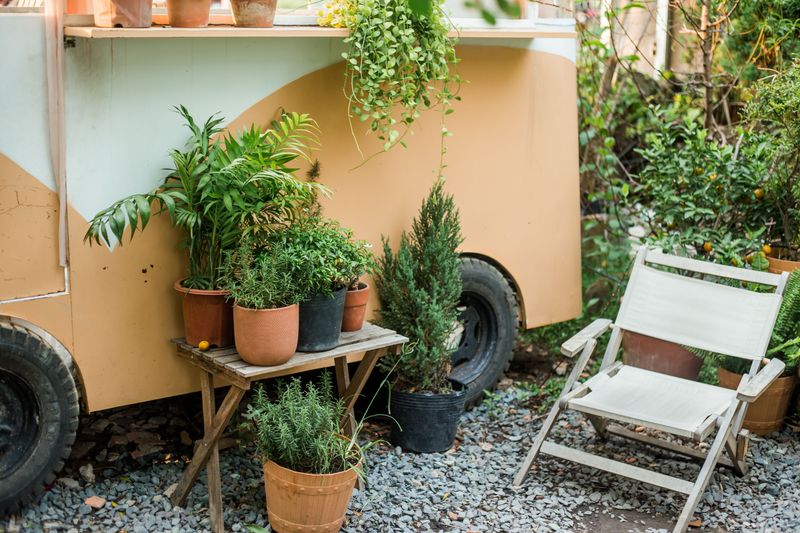 Move Container Plants To A Protected Spot Move Container Plants To A Protected Spot