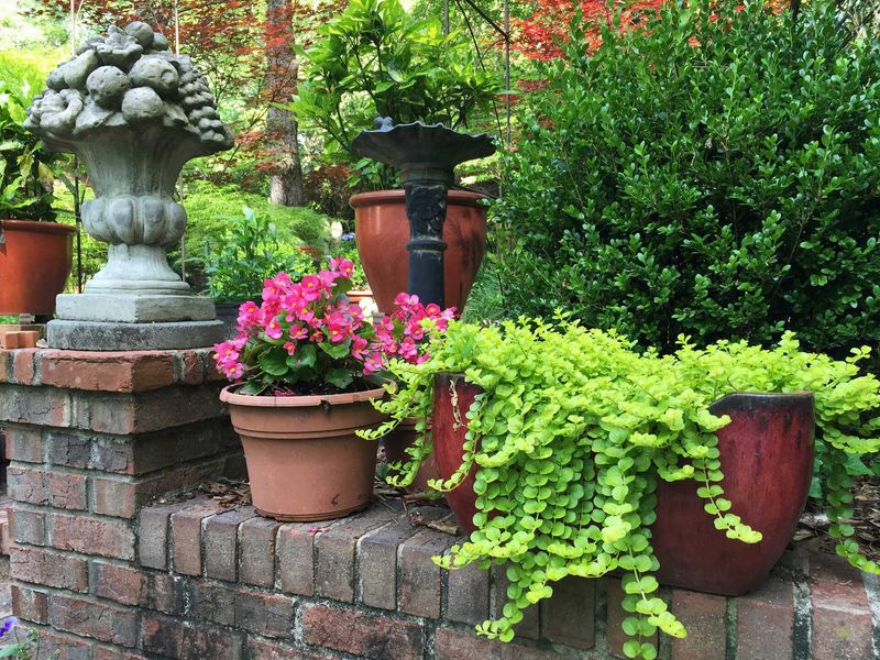 Move Pots Away From Reflected Heat Move Pots Away From Reflected Heat