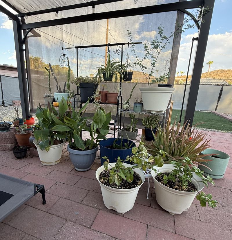 Move Pots Away From Reflected Heat