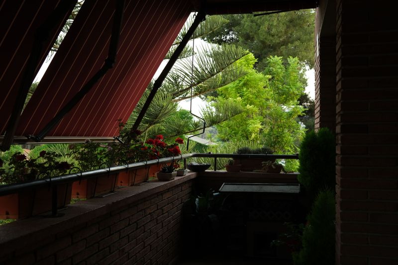 Move Potted Plants To Higher, Sheltered Ground Move Potted Plants To Higher, Sheltered Ground