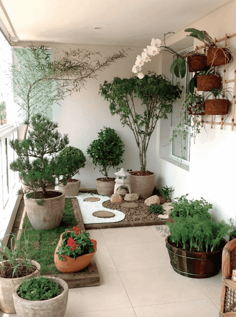 Move Vulnerable Pots Into Shade Move Vulnerable Pots Into Shade