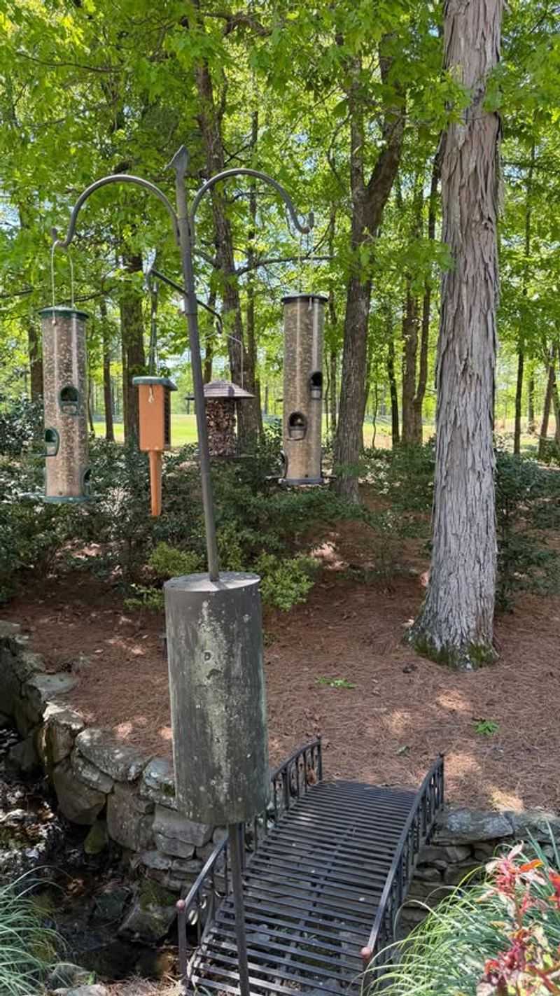 Moving Feeders Away From Patios Helps Separate Wildlife From People